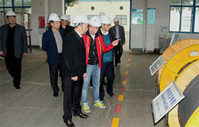 2015年11月22日，郎溪縣黨政代表團(tuán)一行來上上電纜參觀考察