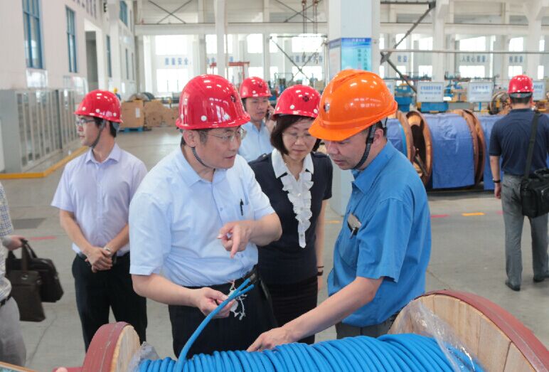 2016年7月22日，瀘州市委常委、副市長(zhǎng)王建翔一行來(lái)上上電纜參觀考察