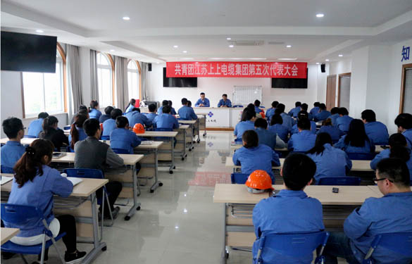 2016年4月20日，共青團(tuán)江蘇上上電纜集團(tuán)第五次代表大會(huì)召開(kāi)