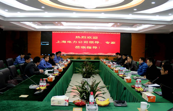 上海電力公司、上纜所領(lǐng)導(dǎo)、專家一行來上上電纜交流考察