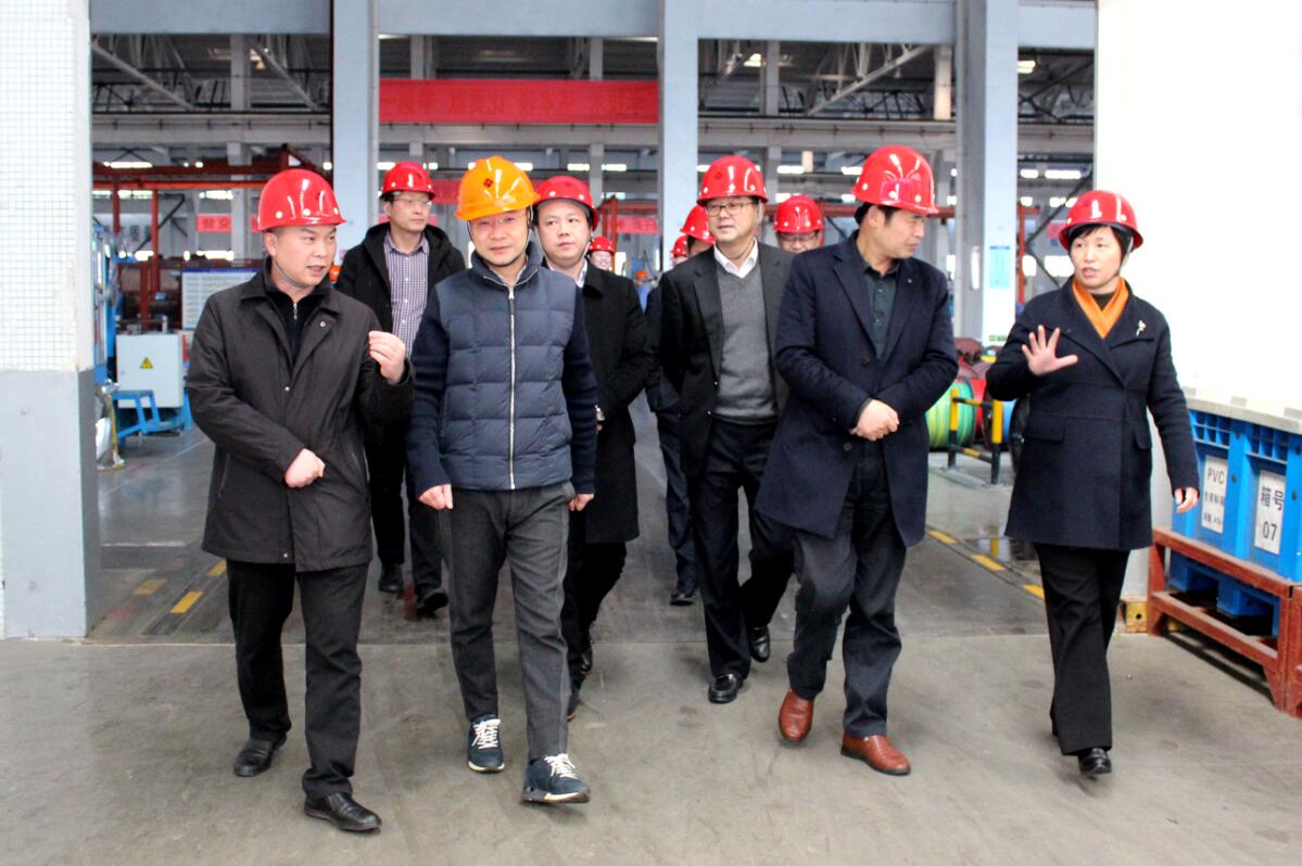 2019年3月7日，廣安市岳池縣考察團(tuán)來(lái)上上電纜參觀考察