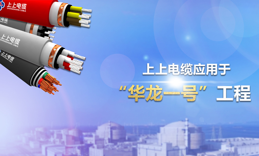 上上電纜榮獲2023年度中國電工技術(shù)學(xué)會“科技進(jìn)步獎二等獎”